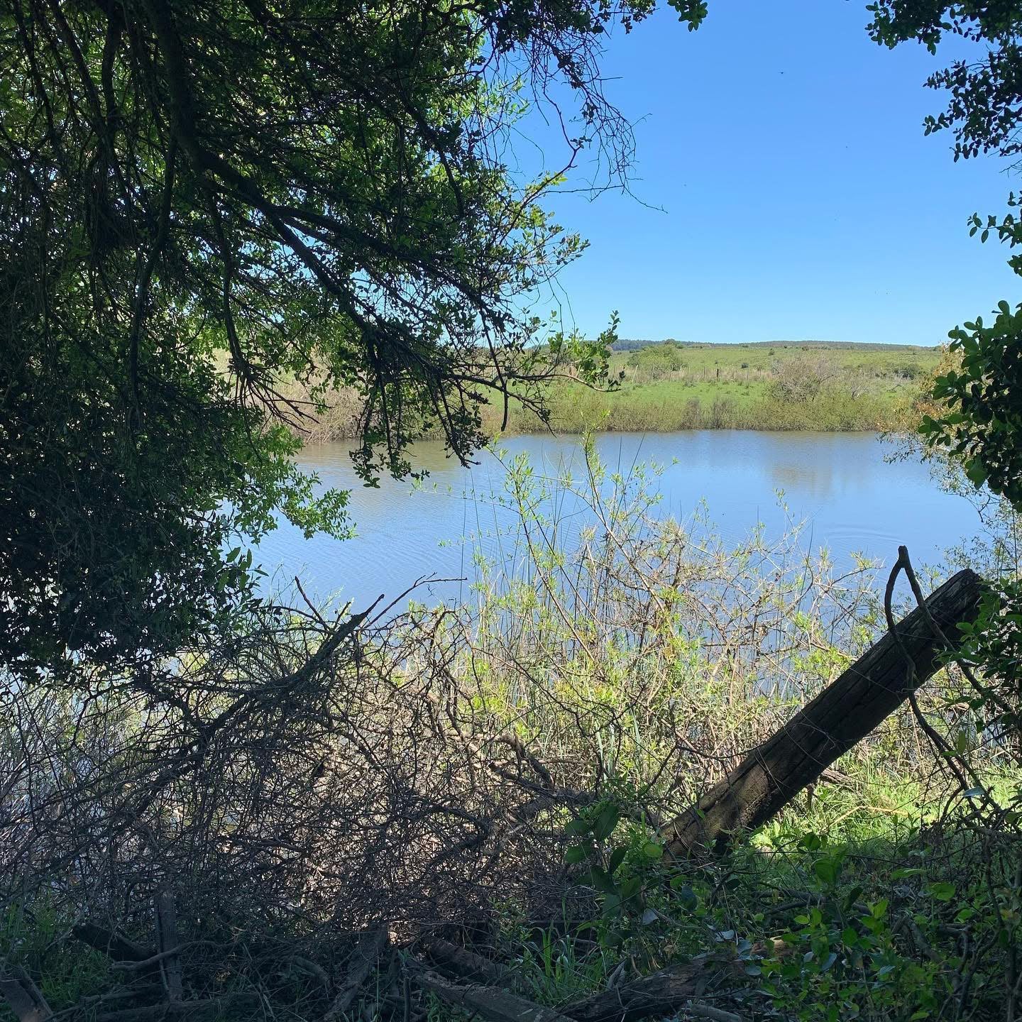 Foto de Laguna de "La Tuna"